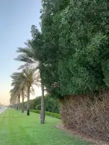 Red Castle - Managed by Aoudi Consultants - 76