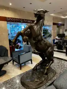 Xperience Sea Breeze Resort - 41