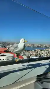 Rixos Pera Istanbul - 6