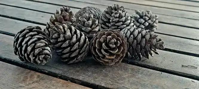 Suenos Beach Side - 99