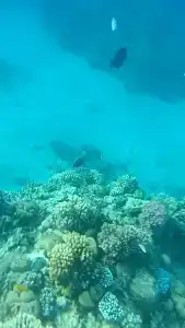 Concorde El Salam Sharm El Sheikh Front - 72