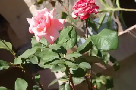 Emre's Stone House - 11