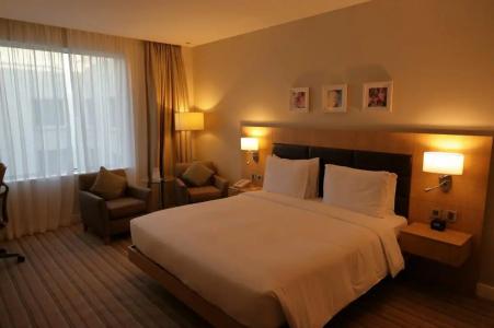 Hilton Garden Inn Dubai Mall Of The Emirates - 32
