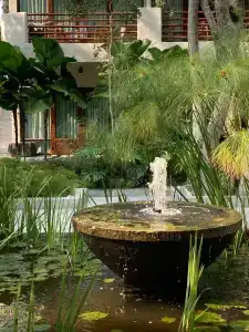 Sea Sand Sun Resort and Villas - SHA Plus - 8