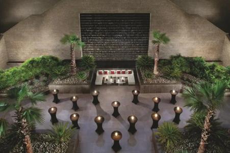 Ritz Carlton Residences DIFC Downtown Dubai - 39