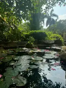 Dusit Thani Pattaya - SHA Extra Plus - 13