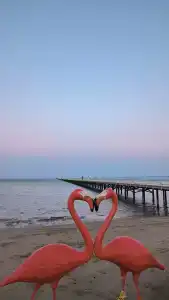 Rixos Premium Seagate - Ultra All Inclusive - 23