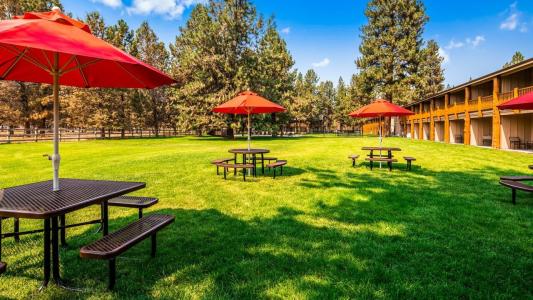 Best Western Ponderosa Lodge - 38