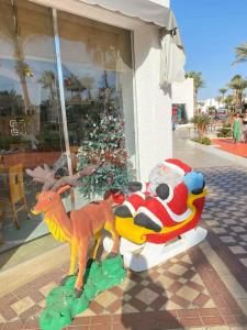 Fayrouz Resort - 80