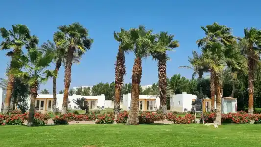 Dahab Lagoon Club & Resort Ex Tirana Dahab - 88