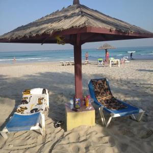 Ajman Beach - 3