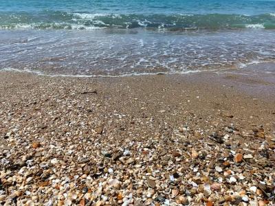 Fun&Sun Smart Hane Sun - 77