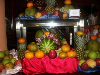 VIK Arena Blanca - 24