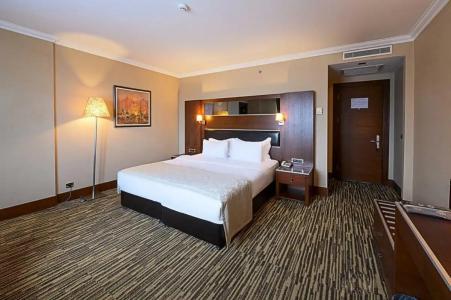 Dream Hill Business Deluxe Istanbul Asia - 81