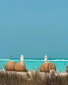 The St. Regis Saadiyat Island Resort, Abu Dhabi - 55