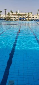 Arabia Azur Resort - 59