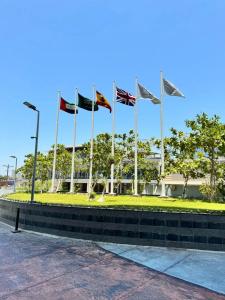  Dukes The Palm Dubai - 24