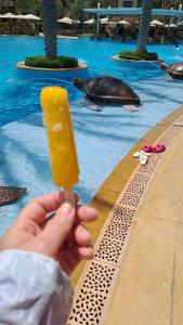 Saadiyat Rotana Resort and Villas - 57