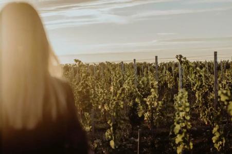 Waldorf Astoria Versailles - Trianon Palace - 71