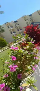 Grand Oasis Resort - 62