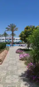 Panorama Naama Heights - 13