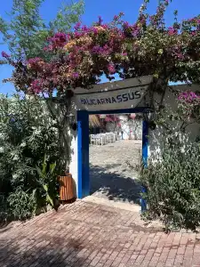 Blue Dreams Resort - 19