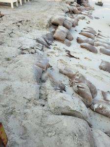 Sahara Beach Resort & Spa - 23