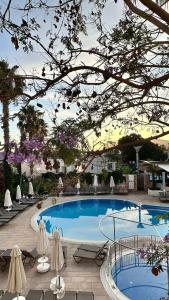 Mandarin Resort & Spa - 49