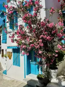 Blue Bay Platinum - 7