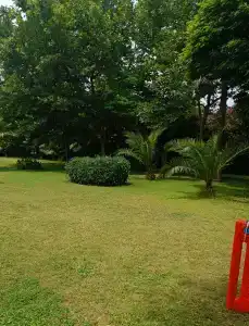 Sultan of Side - All Inclusive - 99