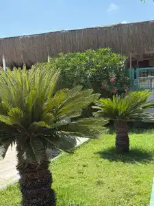 Innvistas Belek - 51