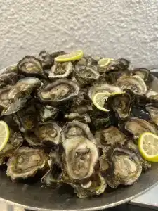 Casuarina Resort and Spa - 60