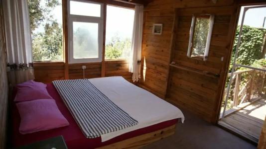 Shiva Camp - 25