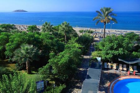 Club Cactus Paradise - 2