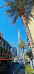 Hilton Garden Inn Dubai Al Mina - Jumeirah - 31