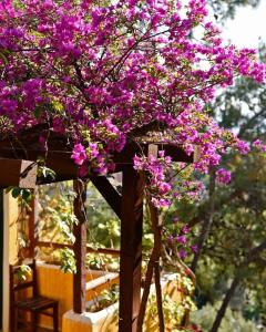 Symbola Oludeniz Beach - 81