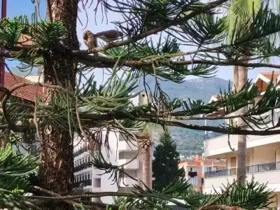 Panorama - All Inclusive - 35