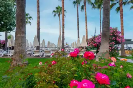 Meryan - Ultra All Inclusive - 65