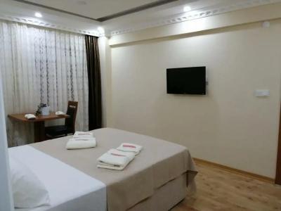 istanbul Airport Kumsal Otel - 88