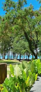 Avani Plus Khao Lak Resort - 34