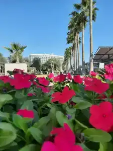 Crystal Centro Resort - Ultimate All Inclusive - 33