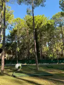 Baia Kemer Club - 73