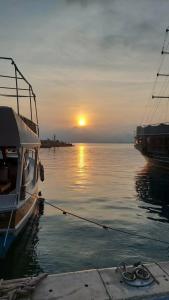 Dogan - 5