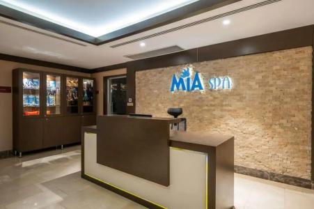 Clarion Istanbul Mahmutbey - 22