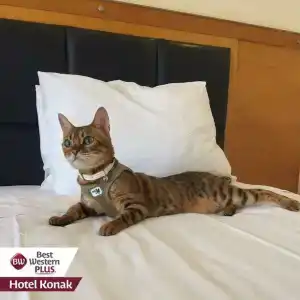 Best Western Plus Konak - 6