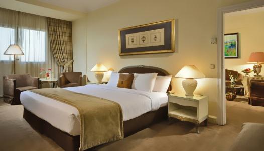 Sonesta Tower & Casino Cairo