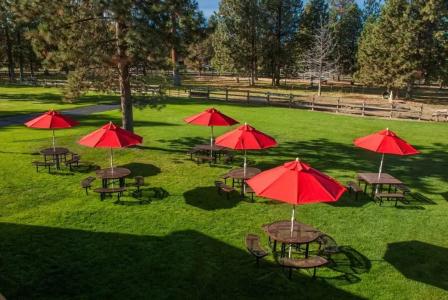 Best Western Ponderosa Lodge - 7