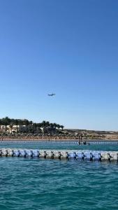 Ivy Cyrene Island Resort - 66