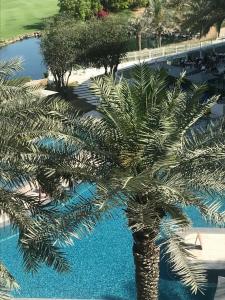 JA Lake View, Dubai - 52