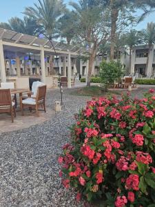 Sentido Reef Oasis Senses Aqua Park Resort - 89